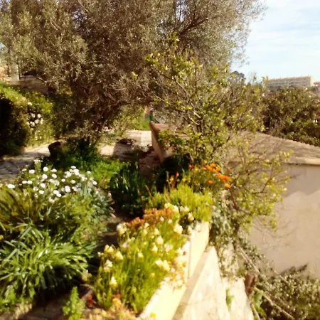 Holiday home Maison Charmante A Avec Jardin Clos + Animaux Acceptes Toulon